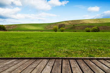 Wall Mural - green field and blue sky