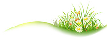 Spring Banner With Green Grass And Flowers, Vector Illustration
