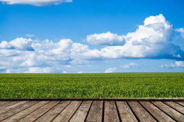 Wall Mural - green fields