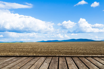 Wall Mural - brown field and blue sky