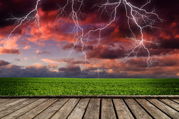 Wall Mural - thunderstorm with lightning in green meadow
