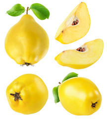 Leinwandbilder - Quince fruits collection