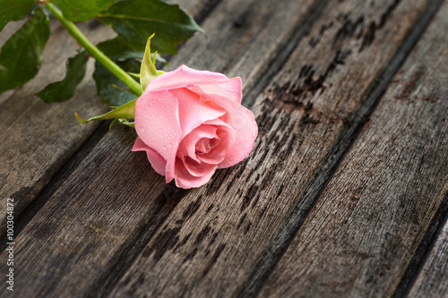 Fototapeta na wymiar Single Pink rose on wooden old background