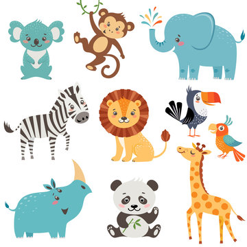 Set of cute animals isolated on white background