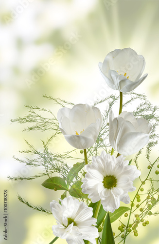 Obraz w ramie Image of tulips in the garden close-up