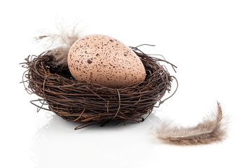 Easter egg in birds nest isolated on white background