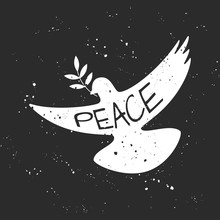 Vector Grungy Peace Dove With Olive Branch