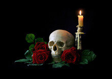 Vanitas. Human Skull With Red Roses Isolated Over Black Bagkground. Gothic Still Life. Book Or Halloween Design