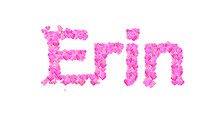 Erin Female Name Set With Hearts Type Design