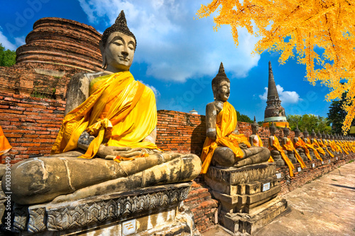 Obraz Dibond Posągi Buddy w Ayutthaya, Tajlandia,