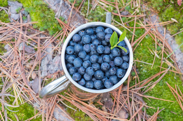 Blueberries in a metal mug