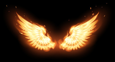 wings in flame