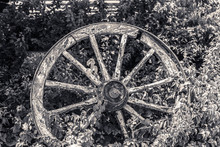 Old Broken Wagon Wheel
