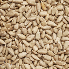 Sticker - Surface covered with sunflower seeds