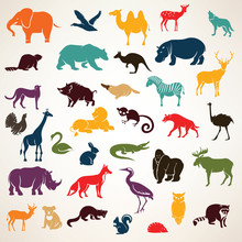 Big Set Of African And European Animals Silhouettes In Cartoon S
