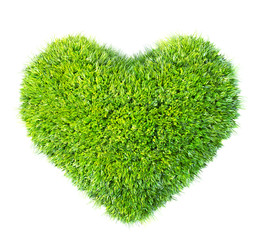 Wall Mural - green leaves in heart shape isolated