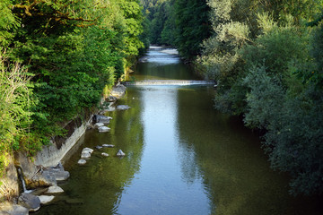 Wall Mural - River in the forest