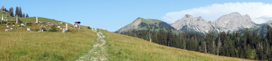 Wall Mural - Panorama of mountain