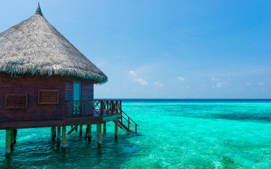 Canvas Print - Maldives. Island in the ocean