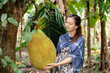 Happy woman tourist on fruit plantation