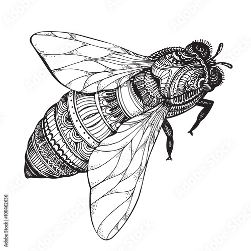 Naklejka ścienna Ręcznie rysowana pszczoła