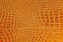 Abstract Crocodile Leather, Can Use As Background