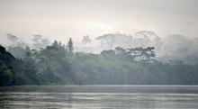 Sangha River. Morning Fog On The African River Sangha. Congo.