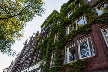 Wall Mural - City houses close-up. Amsterdam - Netherland.