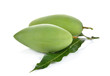 raw green mango with leaf on white background