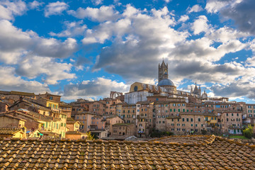 Canvas Print - Old Town Mediterranean in sunny Tuscany, Siena