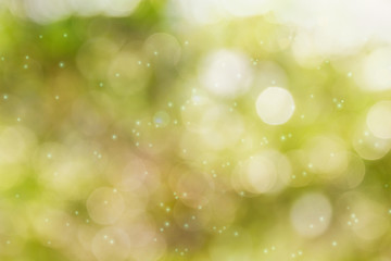 Wall Mural - Fresh soft green colour bokeh bush tree and sunlight
