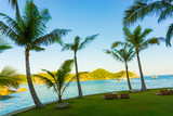 Fototapeta Do akwarium - Coconut palms against blue sky background