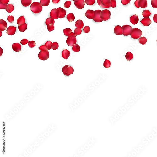 Naklejka dekoracyjna Valentine card with Petals of a rose. EPS 10
