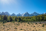 Fototapeta Krajobraz - forest in front of some peaks of the Valley of the Ten Peaks in the national park of banff in the rocky mountains of alberta canada