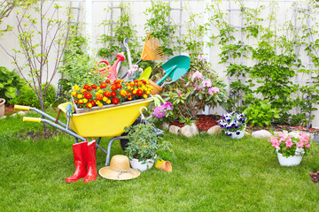 Wall Mural - Gardening tools.