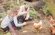 © Wavebreak Media - Couple feeding chicken together