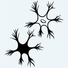 Neuron Icon. Isolated On Blue Background. Vector Silhouettes