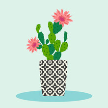 Cactus Pattern In Pot.