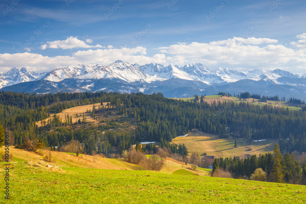 Panorama of the High Tatra Mountains, Gliczarow, Poland - obrazy, fototapety, plakaty 