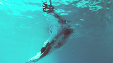 Underwater View Of Athletic Man Diving In The Swimming Pool