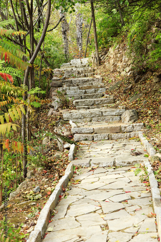 Naklejka dekoracyjna The mountain path