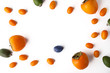 Frame of the different fruit on the white background