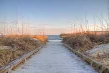 Atlantic Ocean Background. Boardwalk Through Dune Grass To The Atlantic Ocean With A Pier In The Background. Myrtle Beach, South Carolina. 
