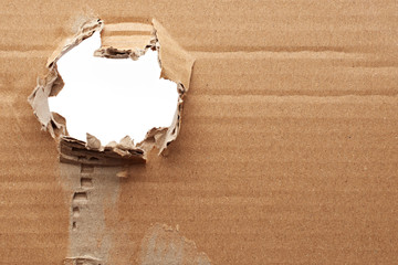 Torn cardboard