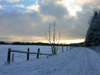 Wall Mural - Winterabend