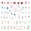 © elinka_art - Floral watercolor set. Different vector elements.