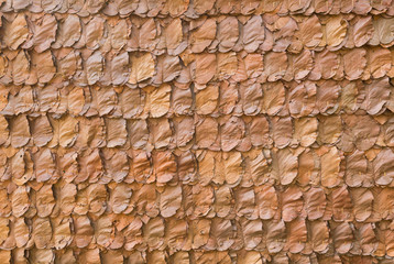 decorative dry leaves on traditional wall