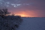 Fototapeta Zachód słońca - winter park in the early morning sunrise