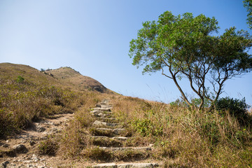 Wall Mural - Hiking