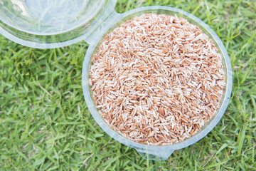 brown rice in plastic box on the grass